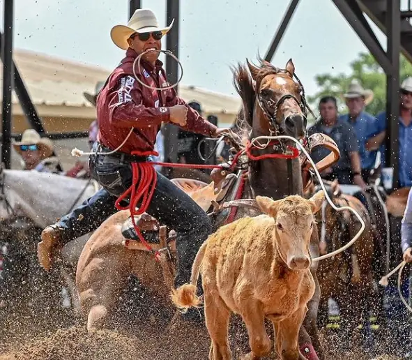 shed-mayfield-rodeo_